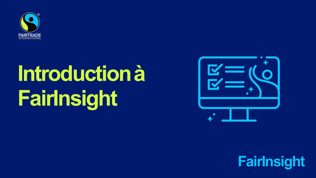 Formation sur Fairinsight